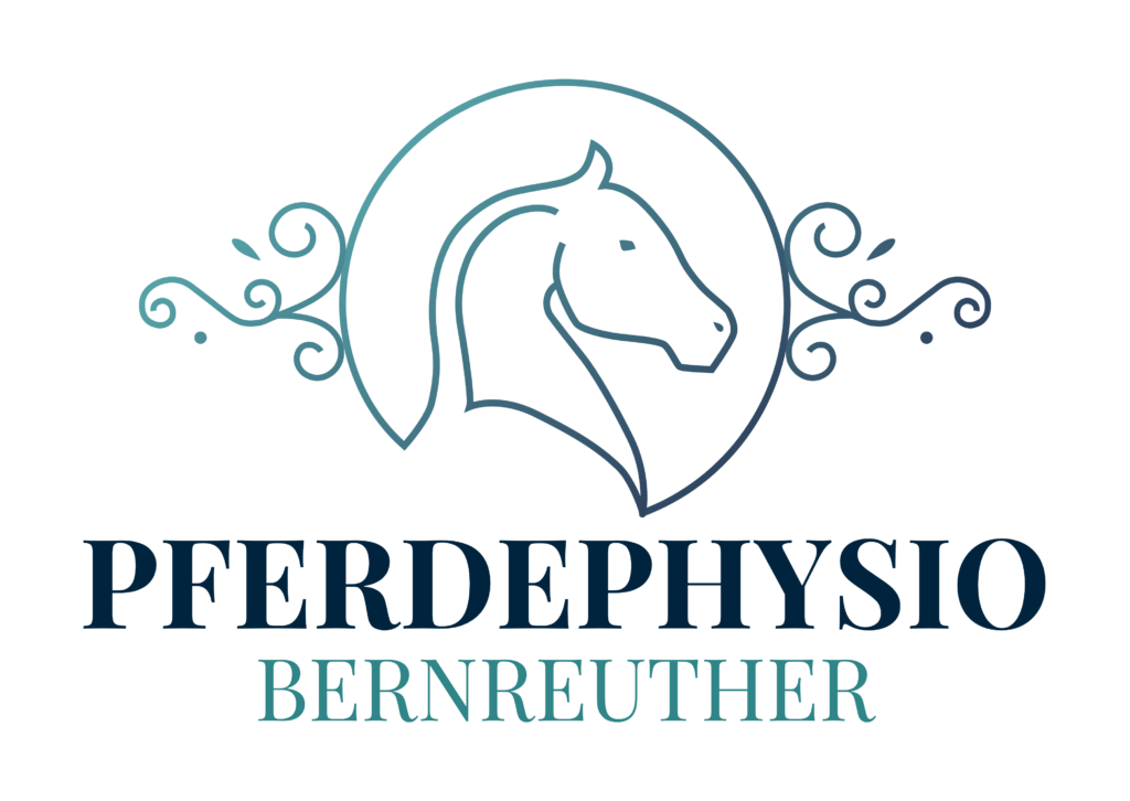 Pferdephysio Bernreuther